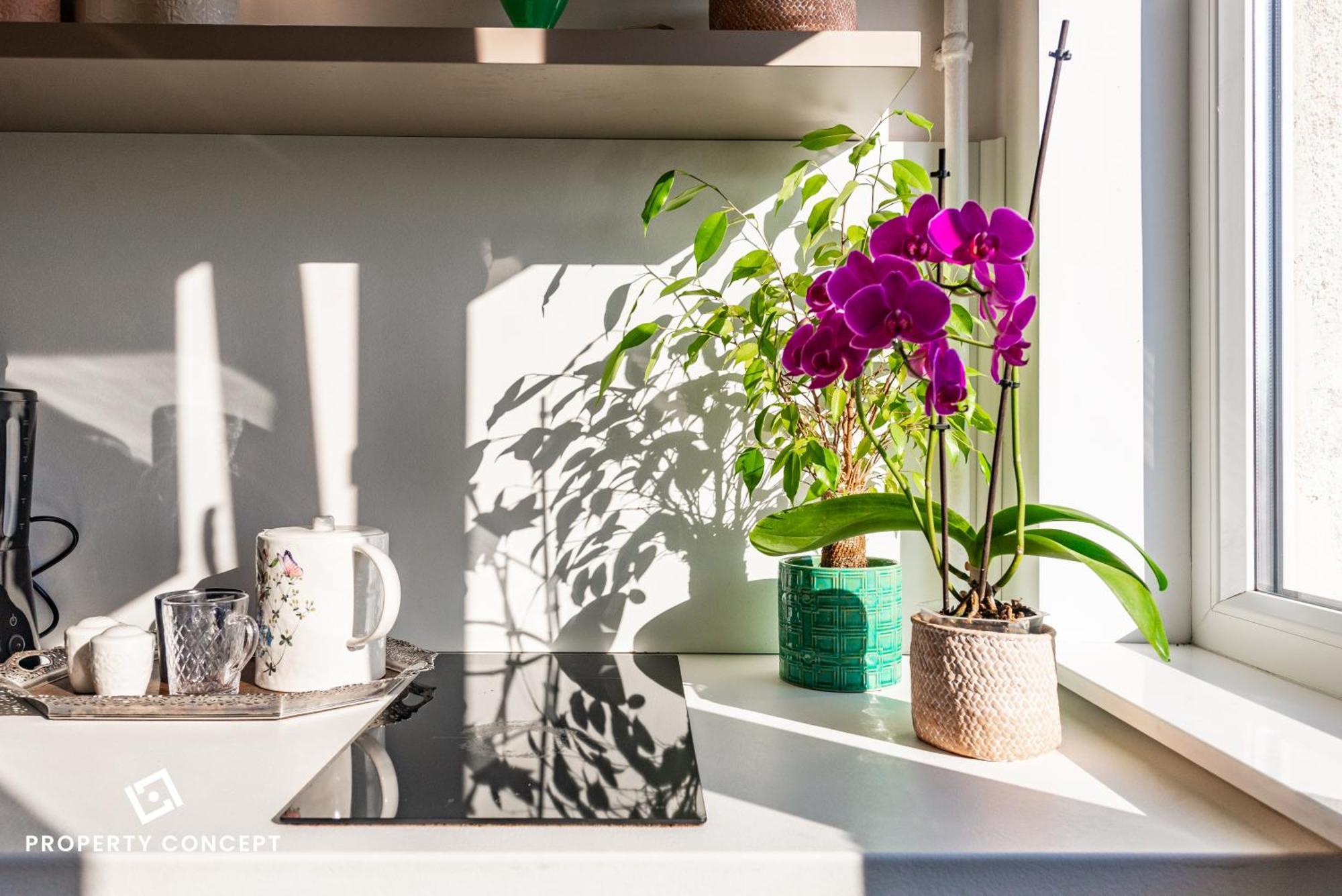Blissful Retreat Apartment Букурещ Екстериор снимка